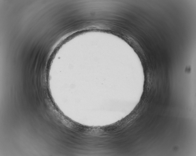 X0000115600784200912221145