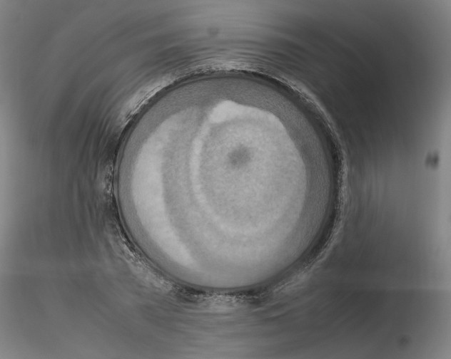 X0000115600785200912221145