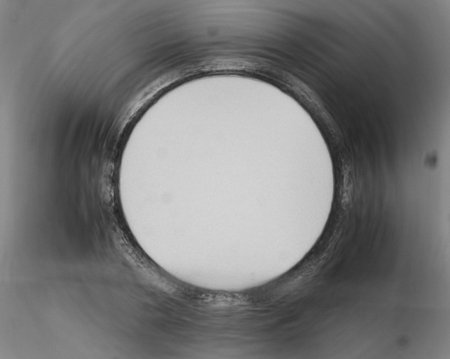 X0000115600786200912221145