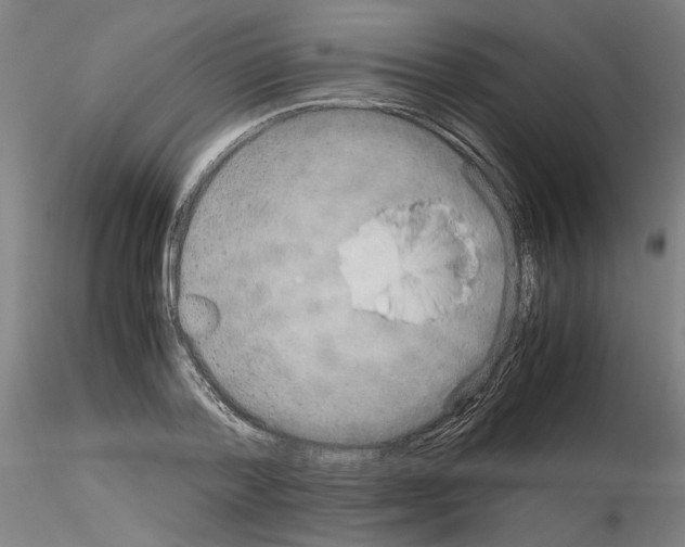 X0000115600788200912221145