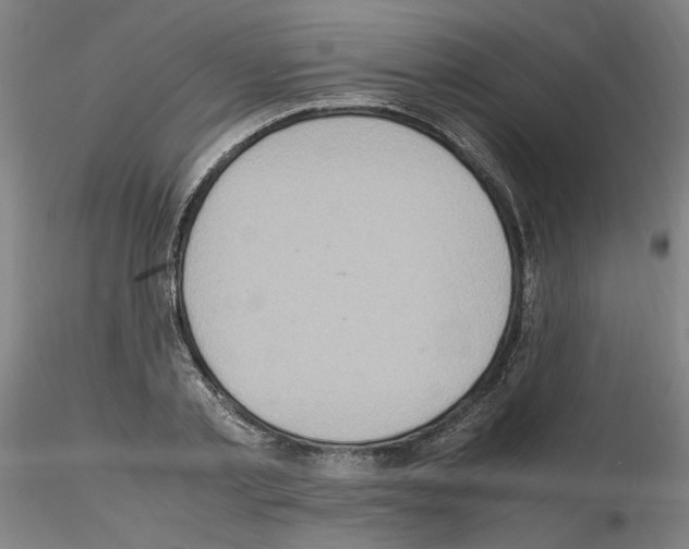 X0000115600789200912221145