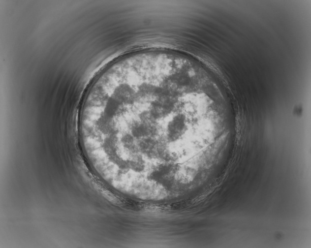 X0000115600790200912221145