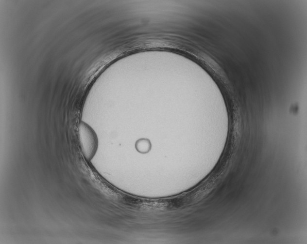 X0000115600793200912221145