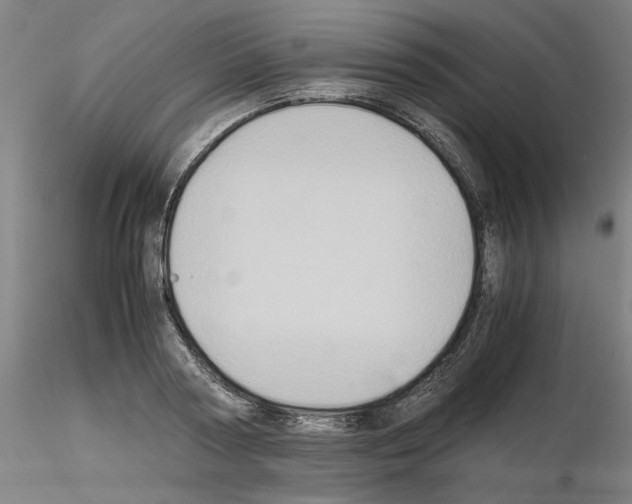 X0000115600794200912221145