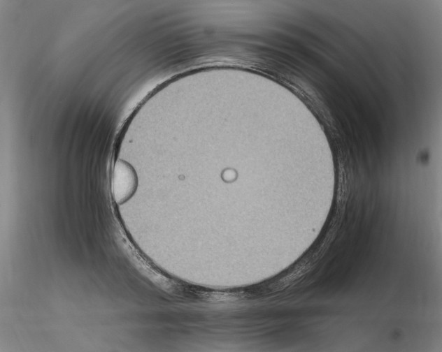 X0000115600796200912221145