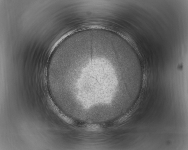 X0000115600798200912221145