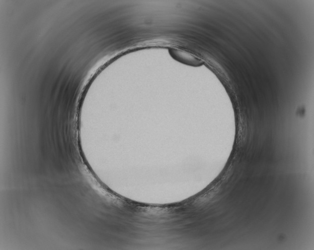 X0000115600800200912221145