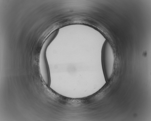 X0000115600801200912221145