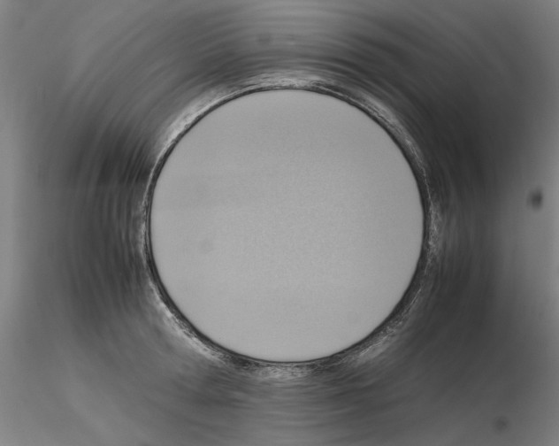 X0000115600802200912221145