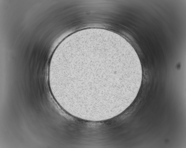 X0000115600804200912221145