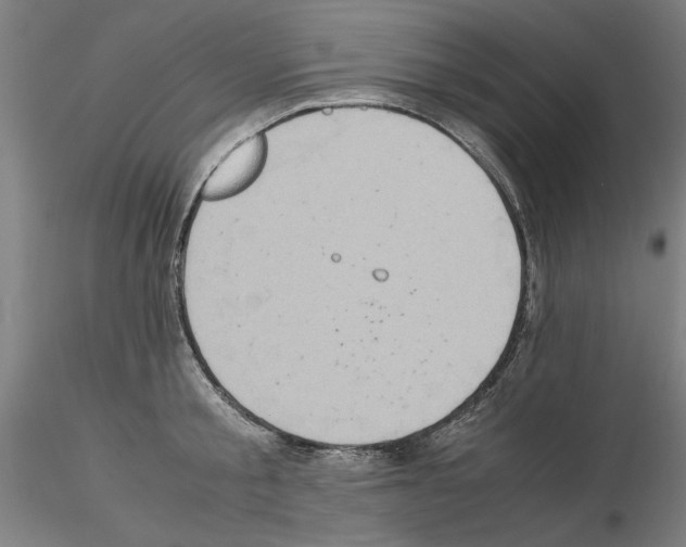 X0000115600805200912221145