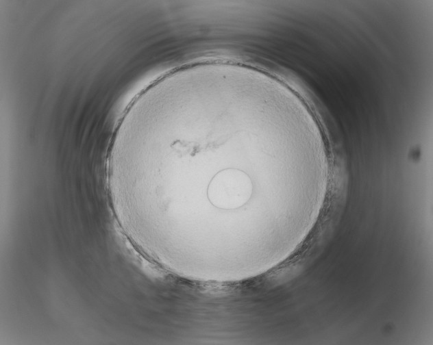 X0000115600807200912221145