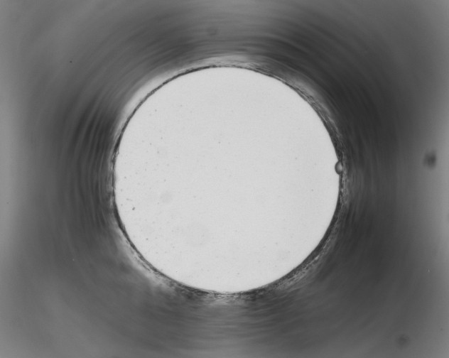 X0000115600808200912221145