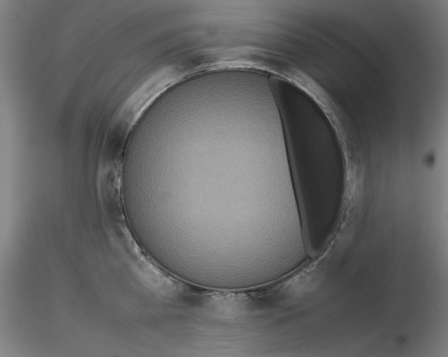 X0000115600809200912221145