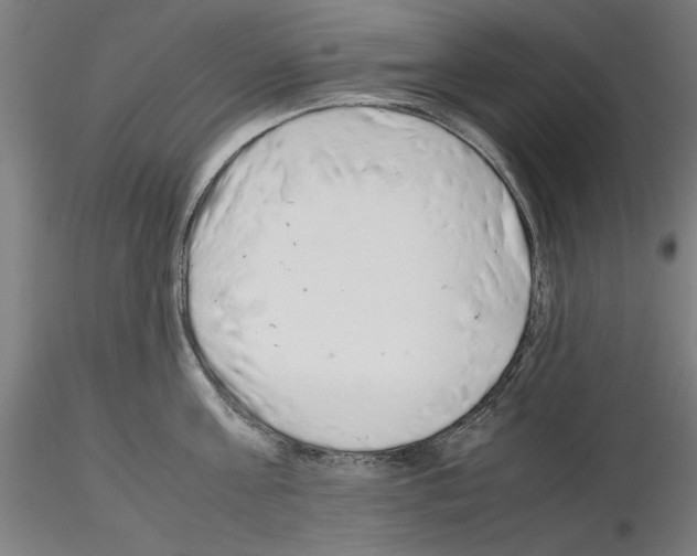 X0000115600811200912221145