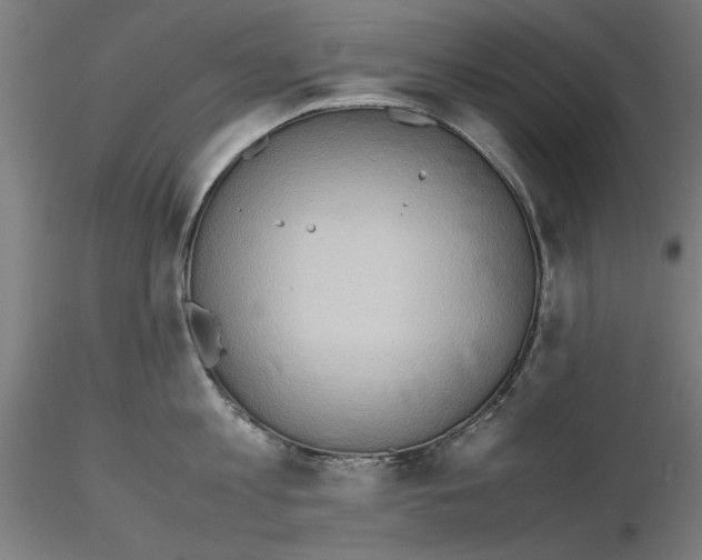 X0000115600813200912221145