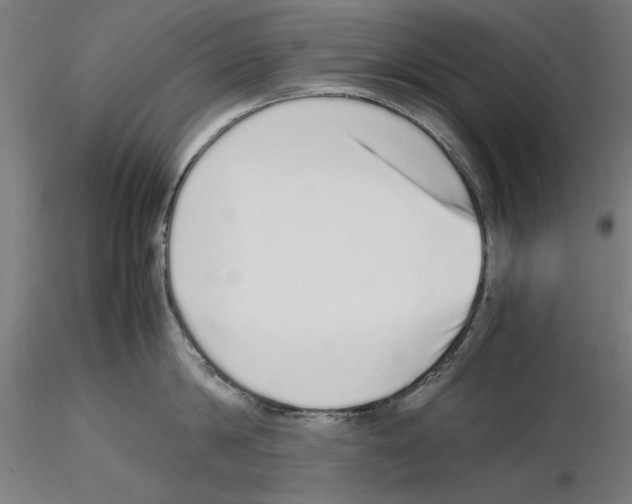 X0000115600814200912221145