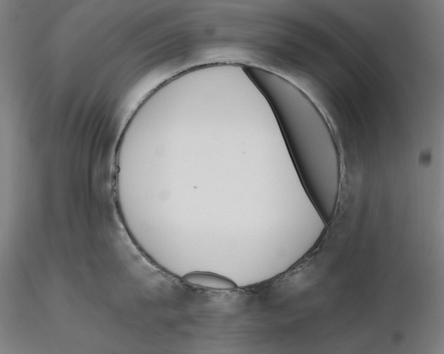 X0000115600815200912221145