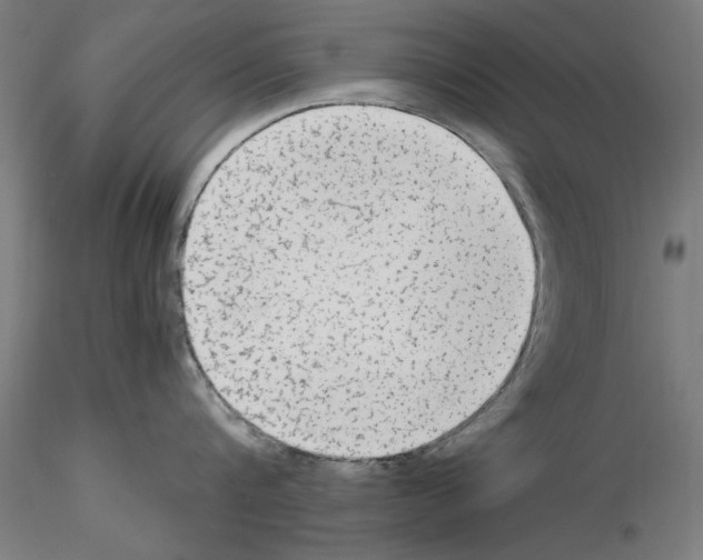 X0000115600816200912221145