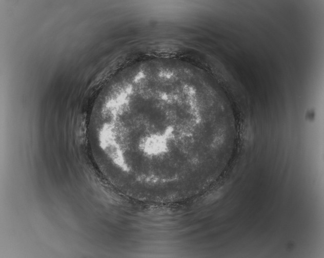 X0000115600818200912221144