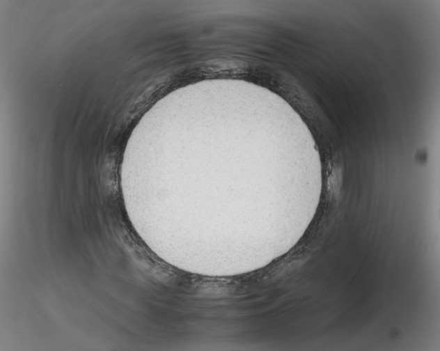 X0000115600819200912221144