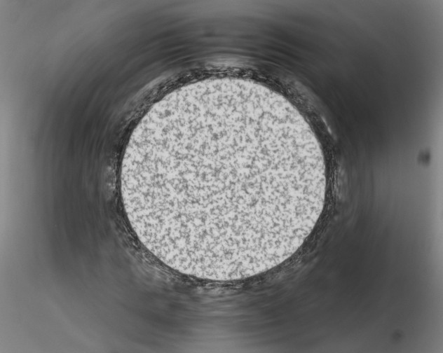 X0000115600821200912221144