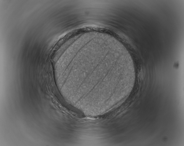 X0000115600822200912221144