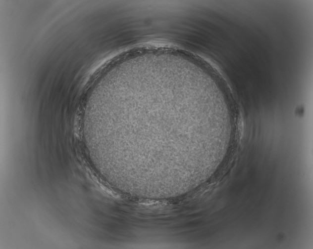 X0000115600823200912221144