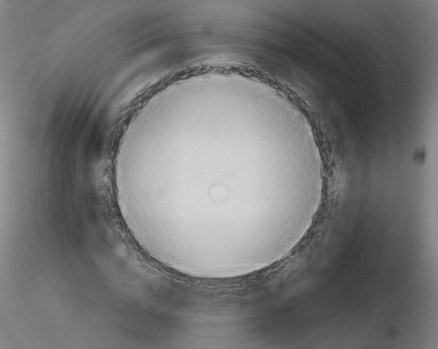 X0000115600824200912221144