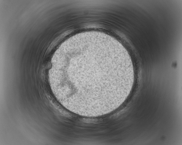 X0000115600825200912221144