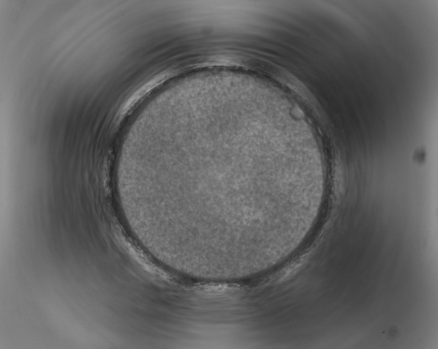 X0000115600826200912221144