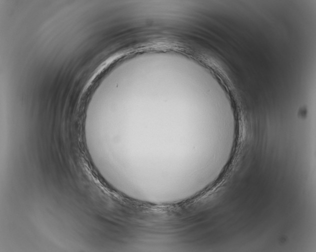 X0000115600828200912221144