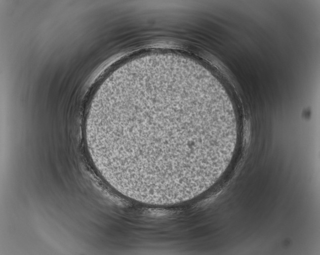 X0000115600829200912221144