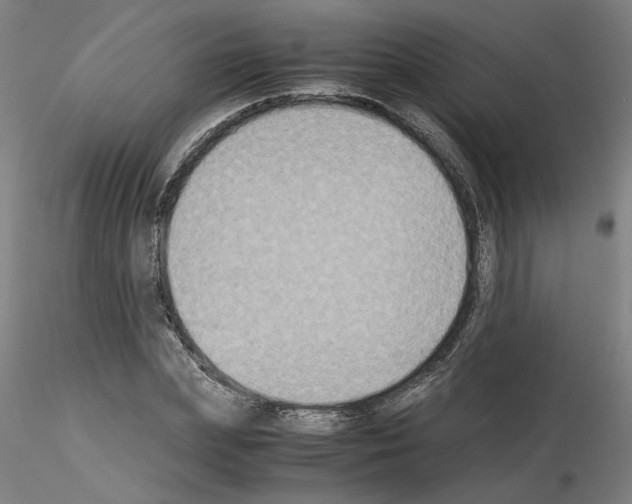 X0000115600831200912221144