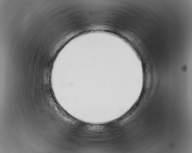 X0000115600833200912221144