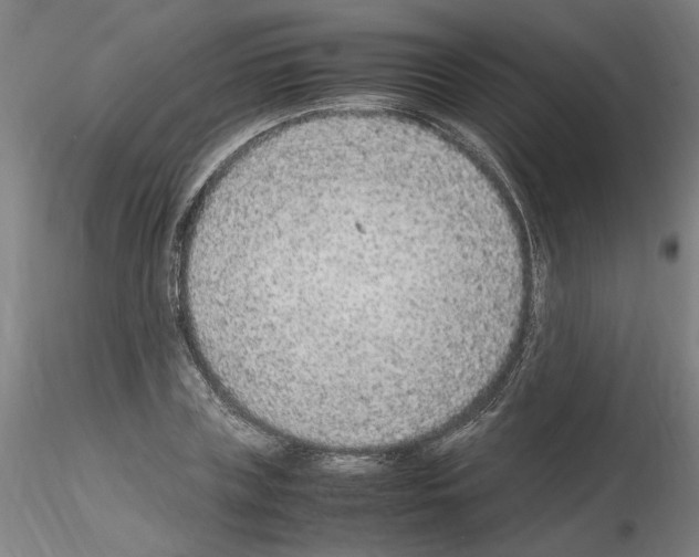 X0000115600835200912221144