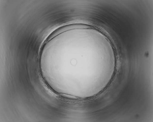 X0000115600836200912221144