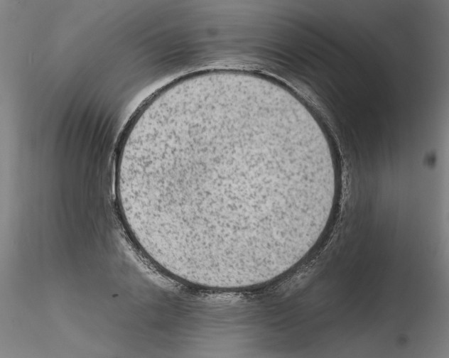 X0000115600838200912221144