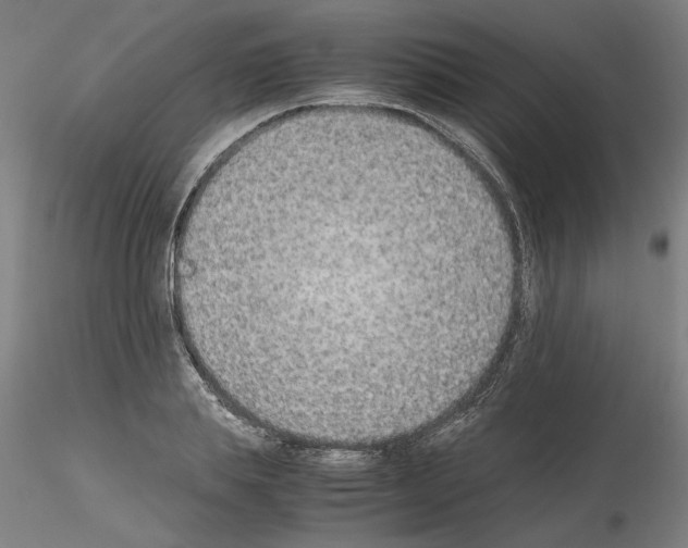 X0000115600839200912221144