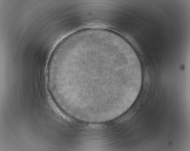 X0000115600840200912221144