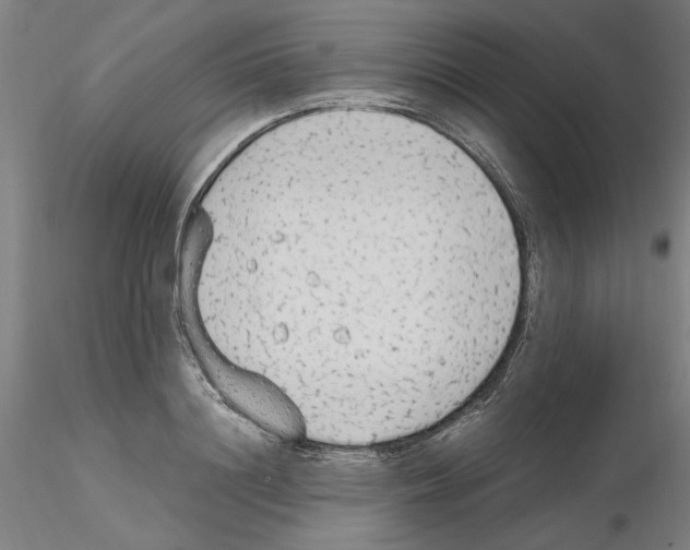 X0000115600844200912221144