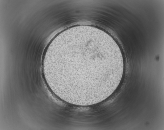 X0000115600845200912221144