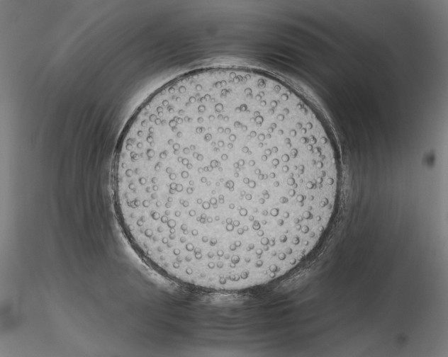 X0000115600847200912221144