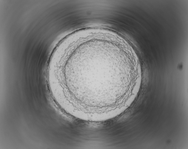 X0000115600848200912221144