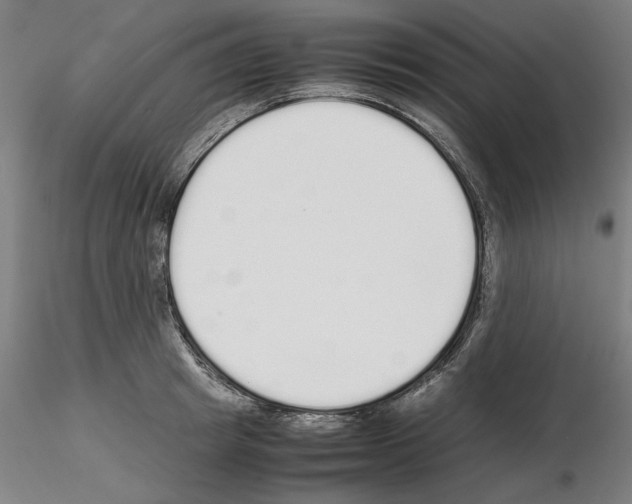 X0000115600849200912221144