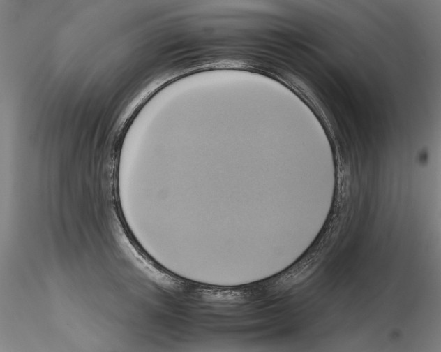 X0000115600851200912221144