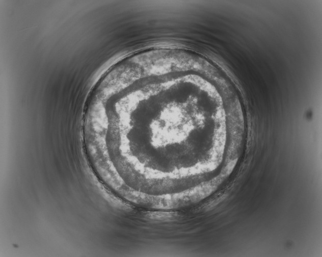 X0000115600853200912221145