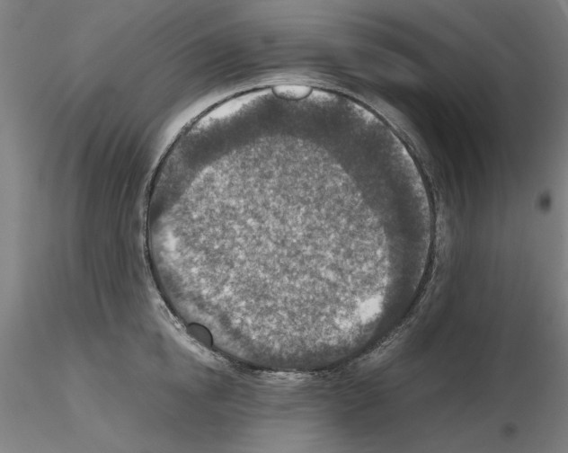 X0000115600854200912221145