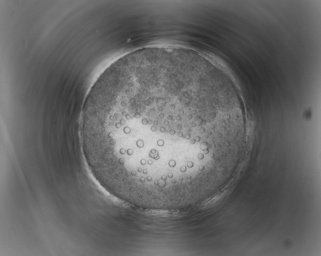 X0000115600855200912221145