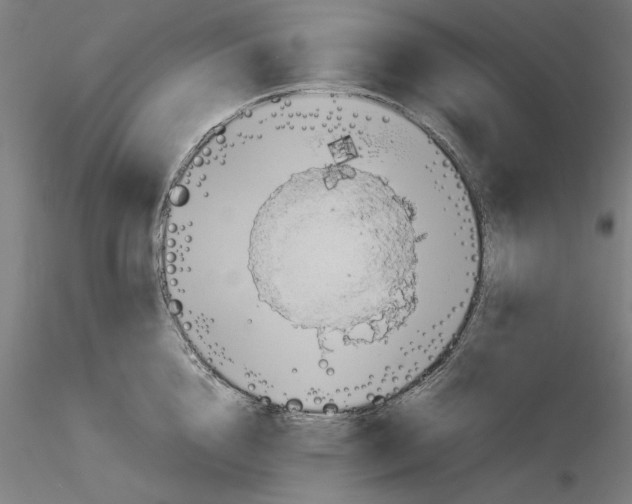 X0000115600856200912221145